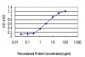PSMD5 Antibody (monoclonal) (M01)